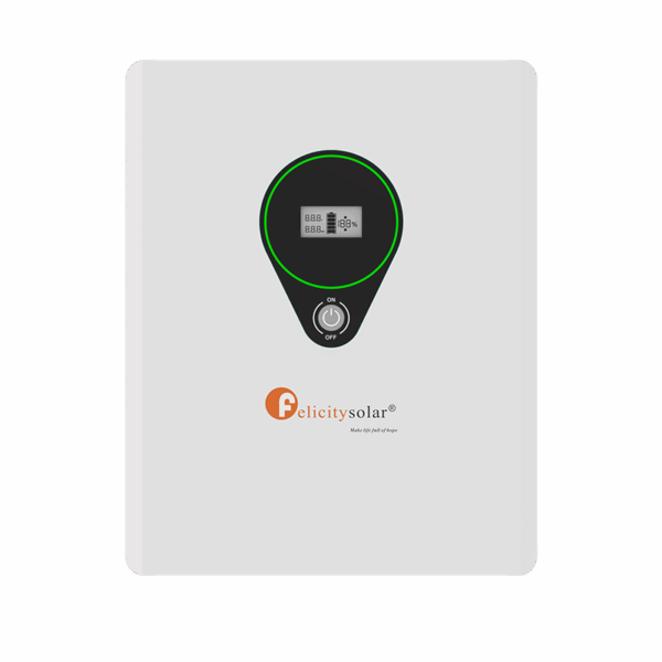 Batería de Litio Felicity Solar – 24 V 100 Ah (2.5 kWh)